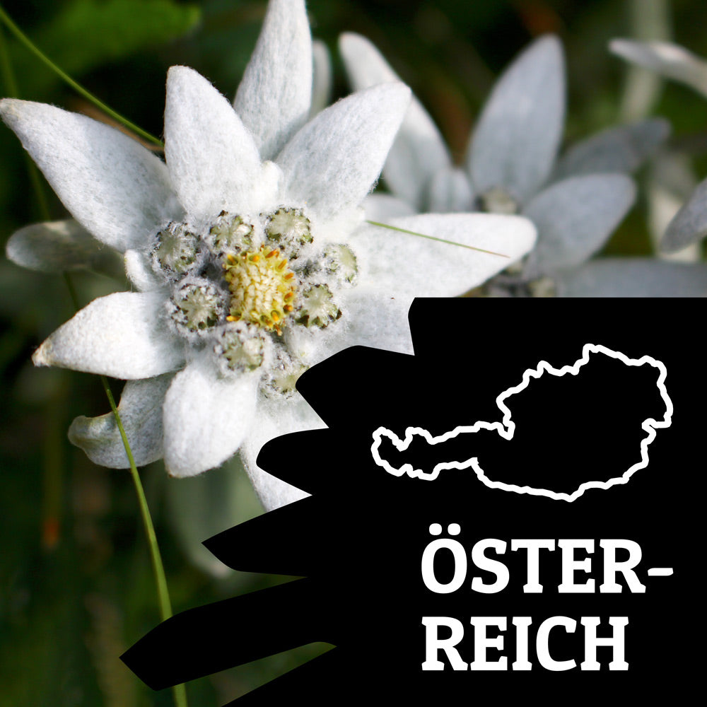 Kollektion Österreich