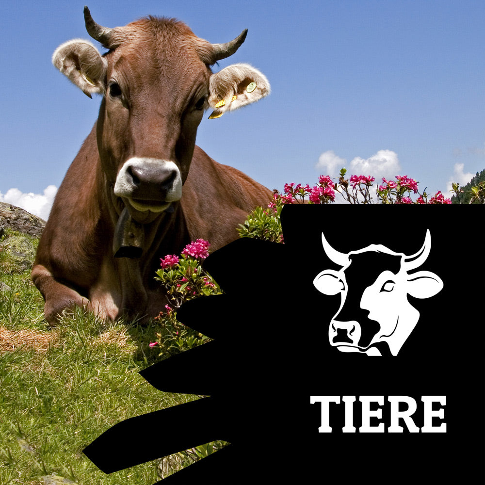 Kollektion Tiere