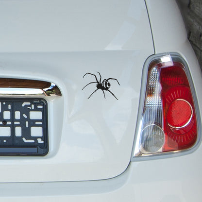 Ansicht Aufkleber Spinne auf dem Heckdeckel eines Autos