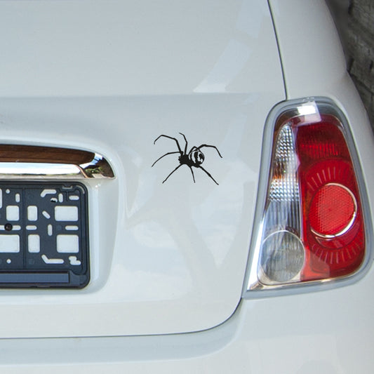 Ansicht Aufkleber Spinne auf dem Heckdeckel eines Autos