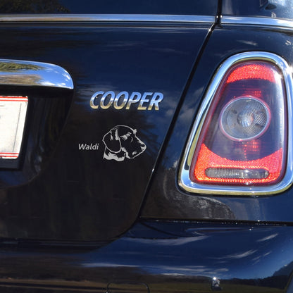 Dackel Sticker auf Heckklappe