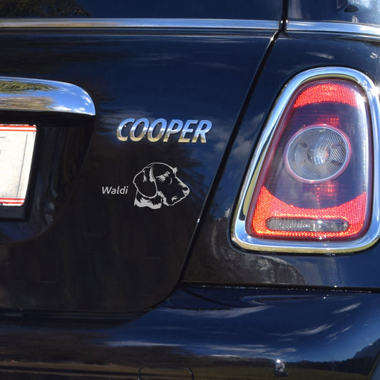 Dackel Sticker auf Heckklappe