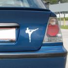 Thaiboxen Autosticker