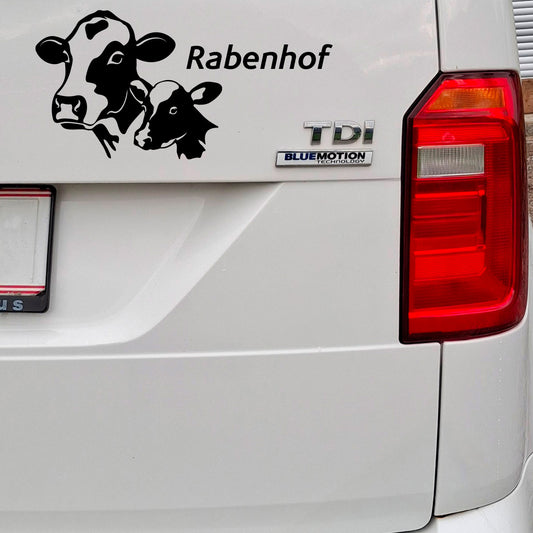 Rinderzucht - Kuh mit Kalb
