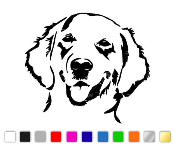 Golden Retriever - Labrador Retriever - Flat Coated Retriever Hund